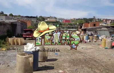 Terreno comercial para alugar no Lajeado, São Paulo 
