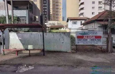Terreno para alugar, 462 m² por r$ 4.000,00/mês - centro - londrina/pr