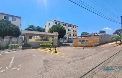 Apartamento com 3 dormitórios para alugar, 60 m² por r$ 1.270,00/mês - jardim das américas - londrina/pr