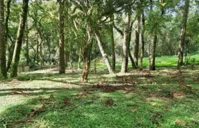 Chácara / sítio com 1 quarto à venda na estrada particular, 3, jardim bela vista, balsa nova por r$ 299.000