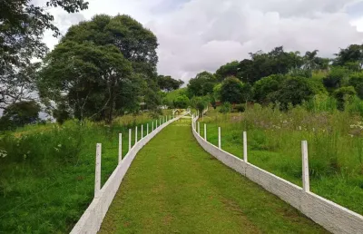 Chácara / sítio com 3 quartos à venda na estrada itambezinho, 1, são joão do povinho, campo largo por r$ 599.000