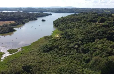 Chácara / sítio com 1 quarto à venda na rua theodoro fila, 1, colônia cristina, araucária por r$ 1.100.000