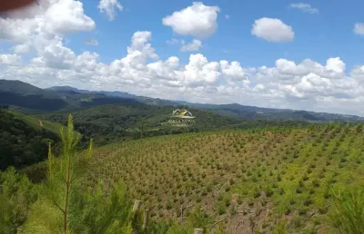 Chácara / sítio com 1 quarto à venda na estrada rural, 1, centro, campo magro por r$ 2.500.000
