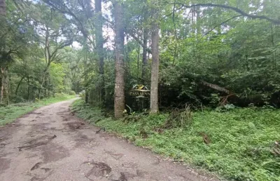 Chácara / sítio com 1 quarto à venda na jorge correia de andrade, 1, bateias, campo largo por r$ 400.000