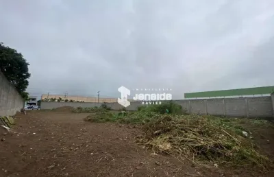 Terreno, 1450 m² - venda por r$ 1.200.000 ou aluguel por r$ 4.000/mês - tomba - feira de santana/ba