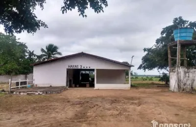 Chácara com 3 dormitórios à venda, 91476 m² por r$ 980.000 - asa branca - feira de santana/ba