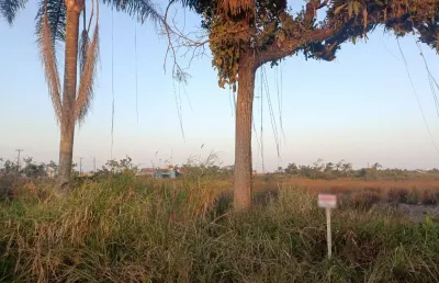 Terreno em baln das palmeiras - coroados  - barra do saí