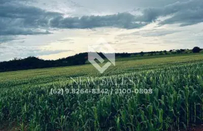 Fazenda na região de araguaína-to! 822 hectares! oportunidade de mercado