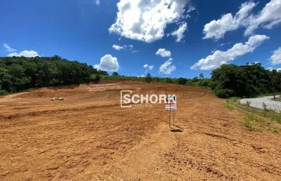 Terreno à venda, 2132 m² por r$ 773.726,42 - estradinha - indaial/sc