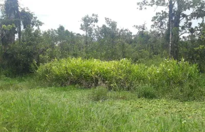 Terreno à venda no agenor de campos, mongaguá , 260 m2 por r$ 50.000