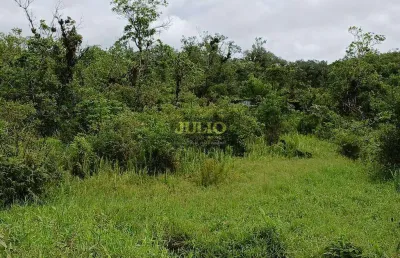Terreno à venda no balneário itaguaí, mongaguá , 16860 m2 por r$ 1.300.000