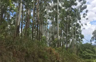 Terreno à venda na Rodovia Presidente Tancredo de Almeida Neves, Jardim Santa Gertrudes, Jundiaí