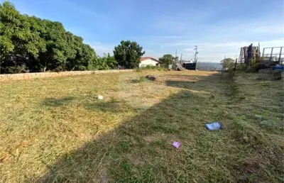 Terreno à venda ou para locação em jardim rosaura - sp