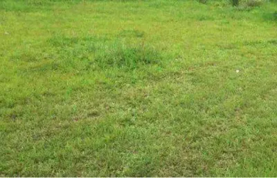 Terreno à venda, 332 m² por r$ 3.984.000,00  - vila operária - itajaí/sc