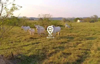 Terreno com 10 alqueires ou 250.000 m2, em área rural, pronto para construção de condomínio ou loteamento!