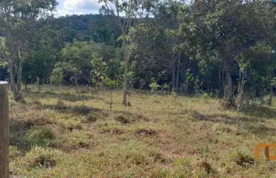 Chácara / sítio com 1 quarto à venda na luiz gonzaga jaime, 100, alto do bonfim, pirenópolis por r$ 120.000