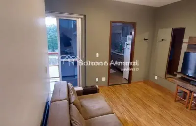 Apartamento para locação, 1 quarto - bairro - jardim proença - campinas -sp