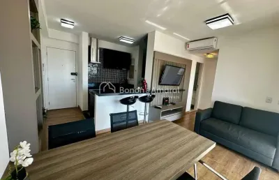 Apartamento com 1 quarto para alugar na Avenida Benjamin Constant, 2039, Cambuí, Campinas