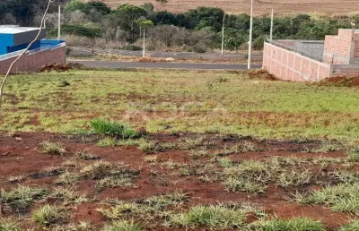 Terreno à venda no bairro salto do monjolinho em são carlos: oportunidade única!