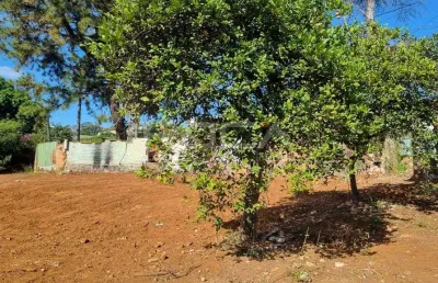 Terreno à venda na vila celina, são carlos: excelente oportunidade!