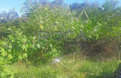 Terreno à venda no jardim brasil, são carlos | espaço com canil