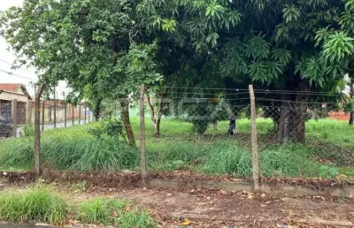 Terreno à venda na vila izabel, são carlos - oportunidade única!