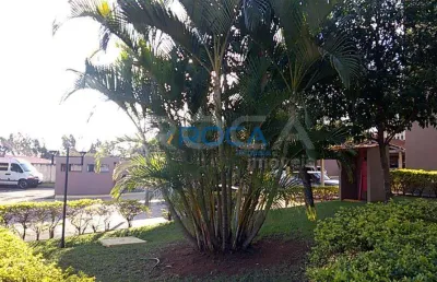 Venda de apartamentos / padrão na cidade de são carlos