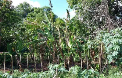 Chácara / sítio à venda na Rua Jesuíno de Arruda, 3663, Jardim São Carlos, São Carlos