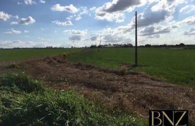 Sítio para plantio à venda próximo a cidade de arapongas-pr.