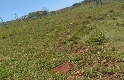 Chácara / sítio com 2 quartos à venda na Área Rural de Arapongas, Arapongas 