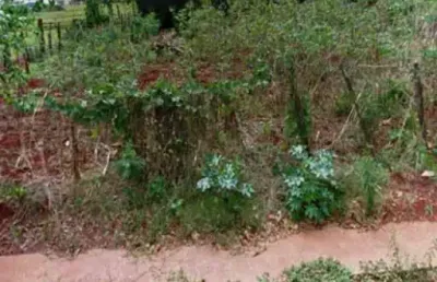 Terreno comercial à venda na Vila Triângulo, Arapongas 