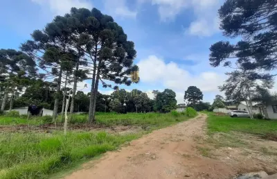 Terreno à venda na Rua do Botiatuva, 91, Águas Claras, Piraquara