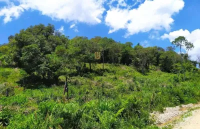 Terreno à venda na Estrada Fermino Siqueira, SN, Matulão, Tijucas do Sul