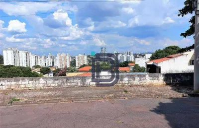 Oportunidade de terreno venda - jardim das samambaias