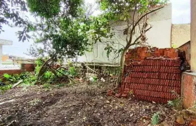 Terreno à venda, 1 vaga, nova gerty - são caetano do sul/sp