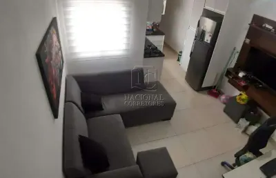 Cobertura sem condomínio à venda, 2 quartos, 1 suíte, 2 vagas, vila clarice - santo andré/sp