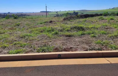 Terreno comercial à venda na Via Anhangüera, 0, RPR-256, Recreio Anhangüera, Ribeirão Preto