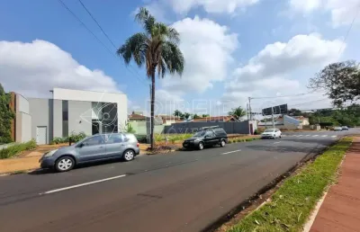 Ponto comercial para alugar na Avenida Braz Olaia Acosta, Jardim Califórnia, Ribeirão Preto