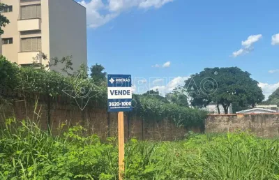 Chácara / sítio à venda na Rua Albuquerque Lins, 23, Jardim Paulista, Ribeirão Preto