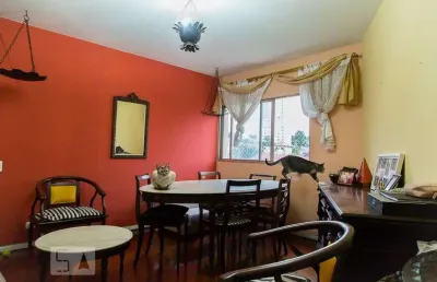 Apartamento à venda - vila mascote, 2 quartos,  75 m2