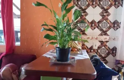 Casa para venda em florianópolis, são joão do rio vermelho, 2 dormitórios, 2 banheiros, 1 vaga