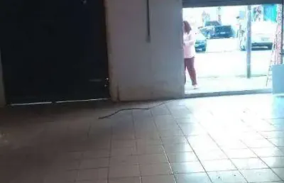 Salão para alugar, 50 m² por r$ 6.400,00/mês - saúde - são paulo/sp