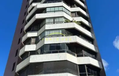 Apartamento exclusivo à venda no morro do gato - sofisticação e espaço de alto padrão