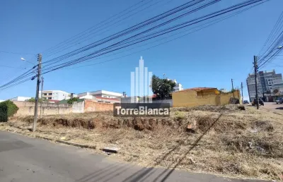 Terreno para locação, 920 m², localização privilegiada, órfãs - ponta grossa/pr