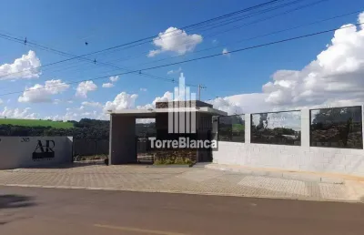 Terreno à venda, em condomínio fechado, contorno, ponta grossa, pr