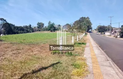 Terreno para locação area urbana , chapada, ponta grossa, pr