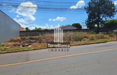 Terreno de esquina à venda , cará-cará, ponta grossa, pr
