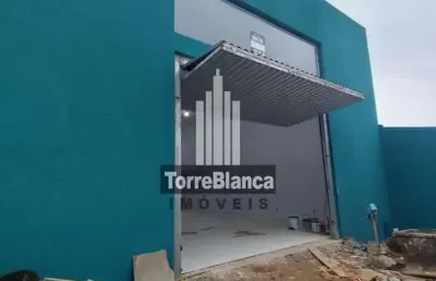 Loja para locação, 100 m² - cará-cará, ponta grossa, pr
