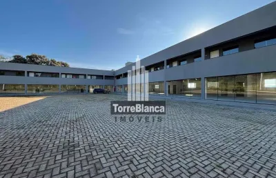 Apartamento com 2 quartos, oficinas, ponta grossa, pr