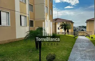 Apartamento com 3 quartos à venda na Rua Leopoldo Miques, Estrela, Ponta Grossa